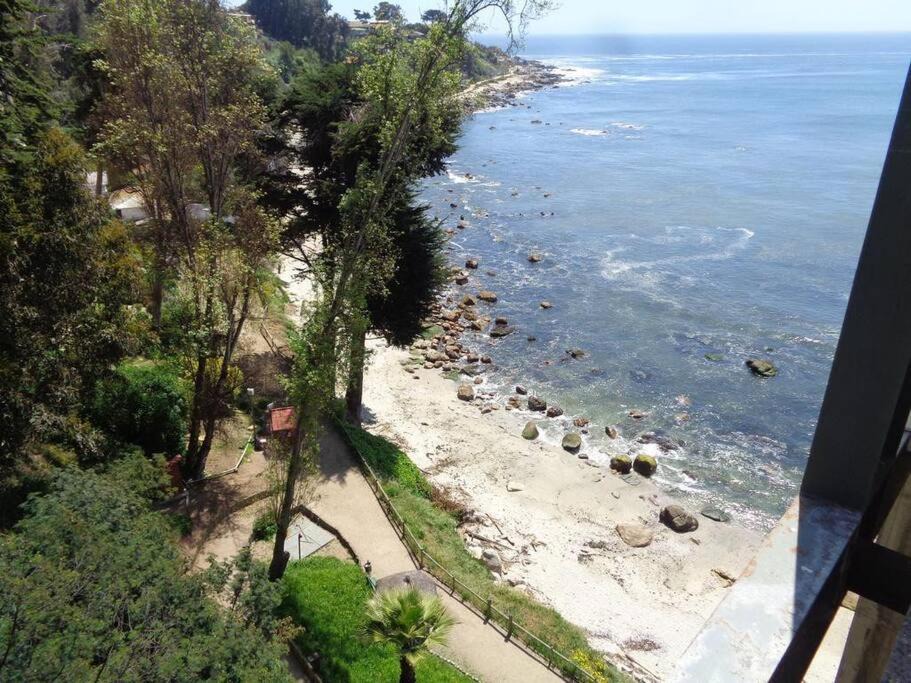 Photo of Others in Caleta Horcon