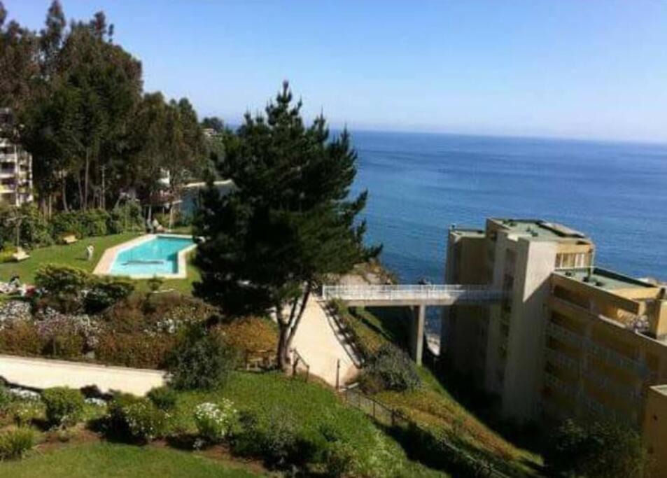 Photo of Others in Caleta Horcon