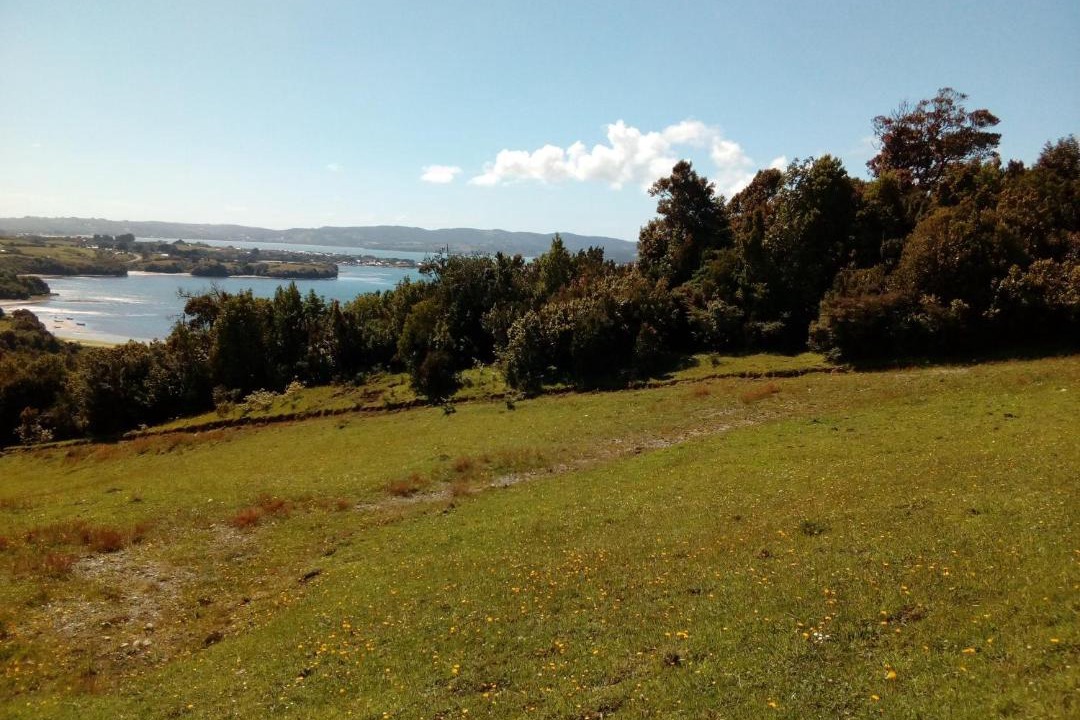 Photo of Others in Ancud