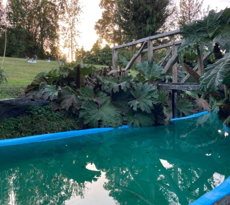 Photo of Outdoor in Puerto Montt