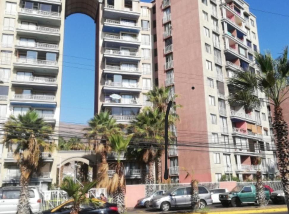 Photo of Others in Cavancha