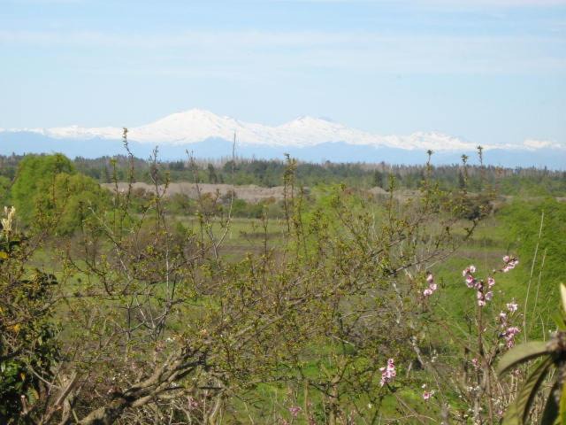 Photo of Others in Quillon