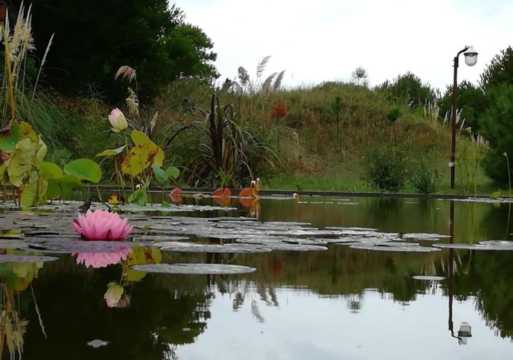 Photo of Others in Mar Azul