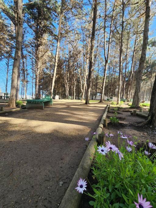 Photo of Outdoor in El Tabo