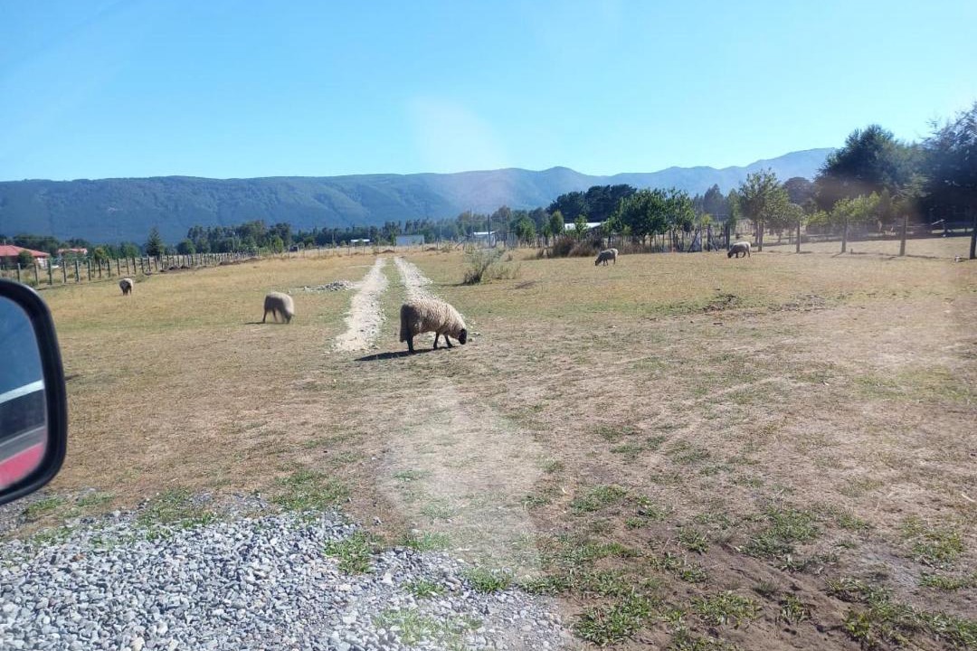 Photo of Others in Cunco