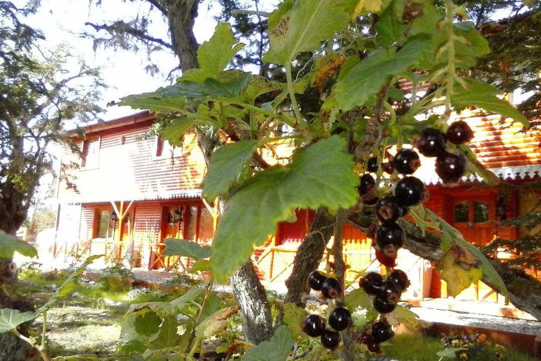 Photo of Others in Tolhuin