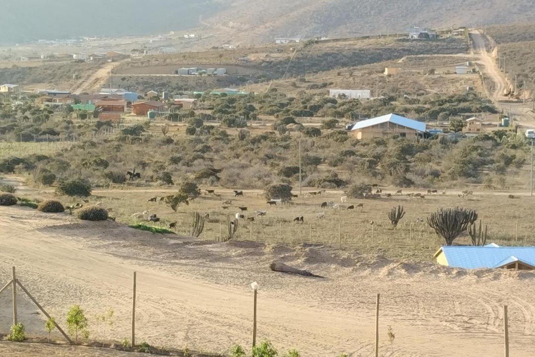 Photo of Others in Coquimbo