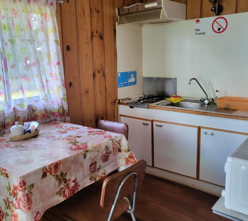 Photo of Kitchen in Puyehue