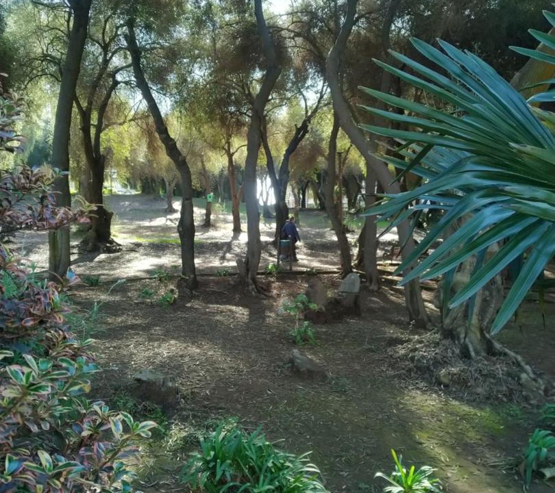 Photo of Others in Caleta Horcon