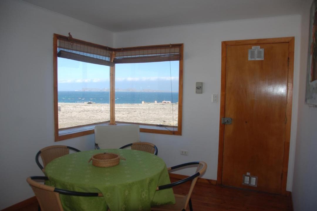 Photo of Others in Punta de Choros