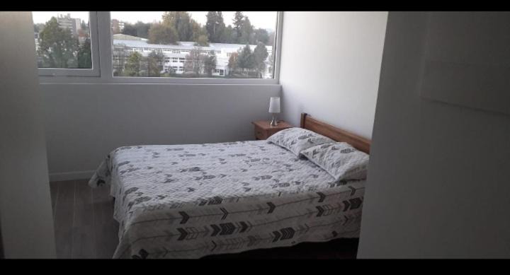 Photo of Others in Valdivia