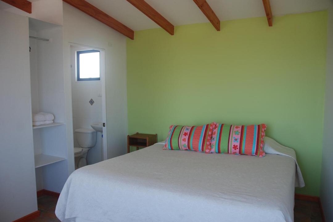 Photo of Others in Punta de Choros
