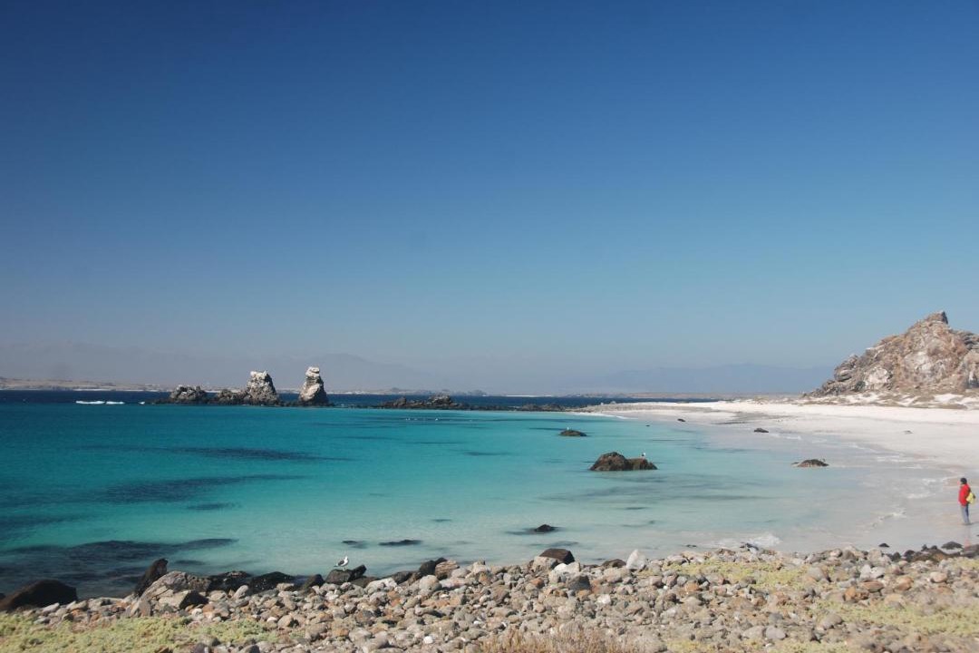 Photo of Others in Punta de Choros