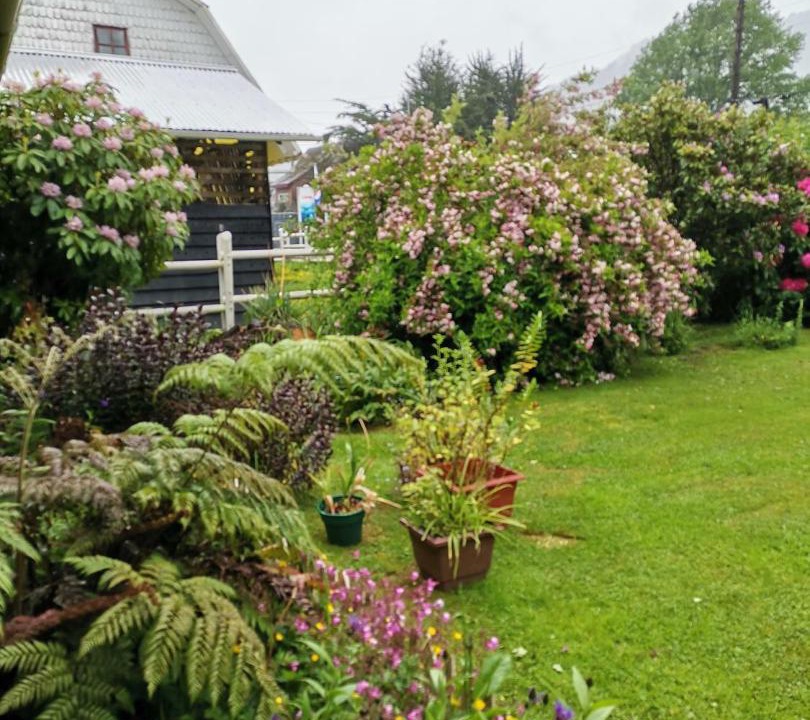 Photo of Others in Puyuhuapi