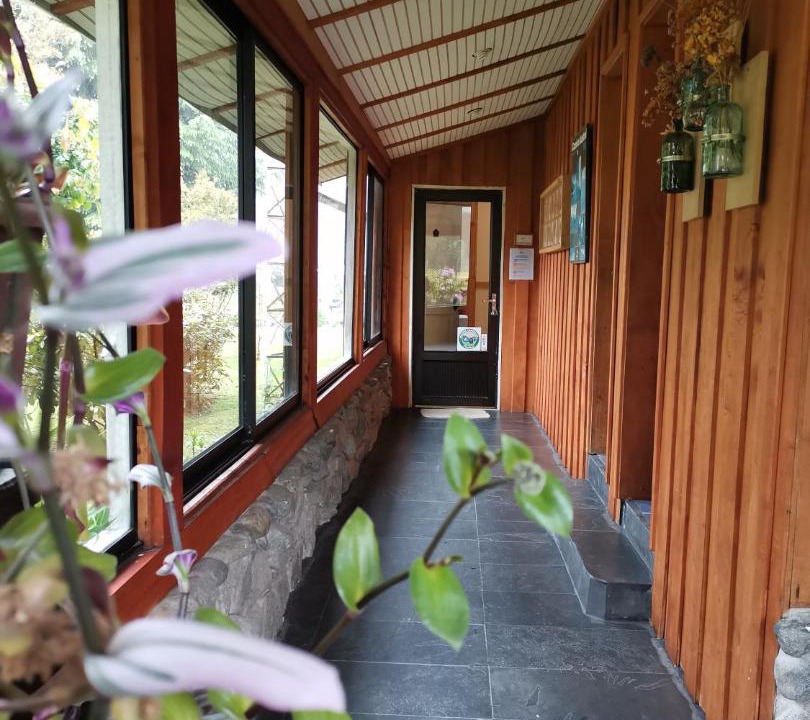 Photo of Others in Puyuhuapi