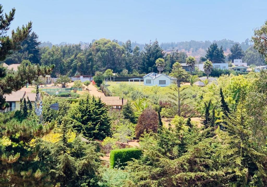 Photo of Outdoor in Tunquen