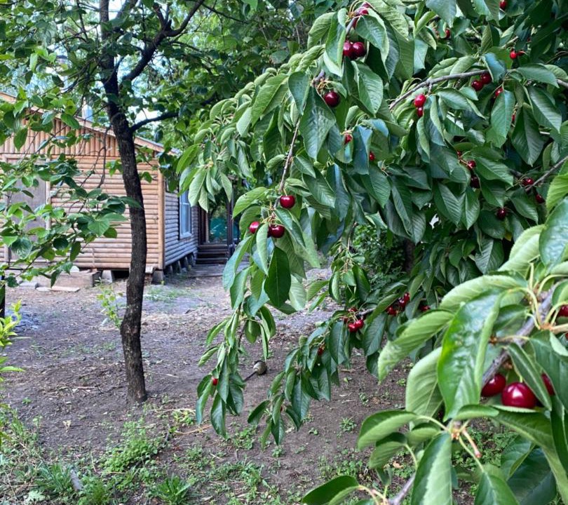Photo of Others in Diguillin Province
