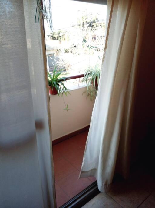 Photo of Others in San Antonio de Padua