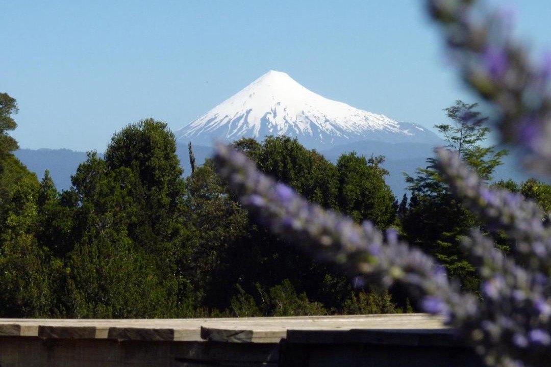 Photo of Others in Puyehue