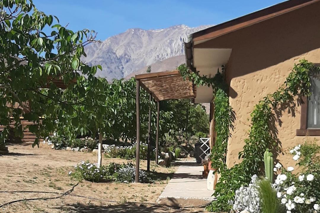Photo of Buildings in Horcon