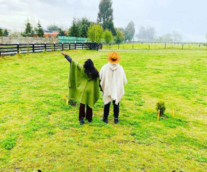 Photo of Others in Panguipulli