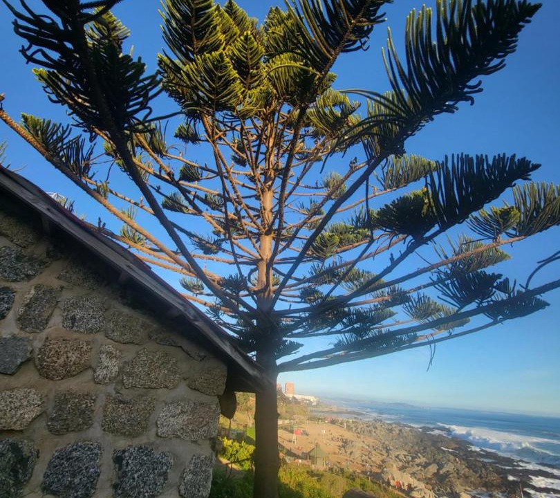 Photo of Others in Isla Negra