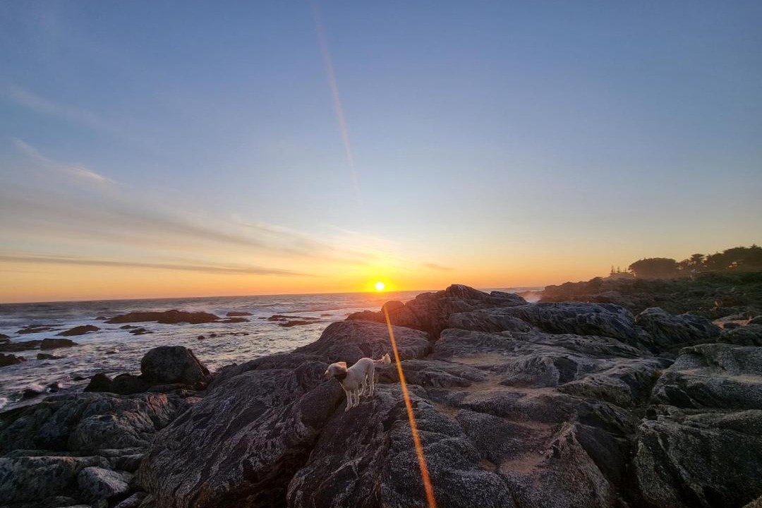 Photo of Outdoor in Isla Negra