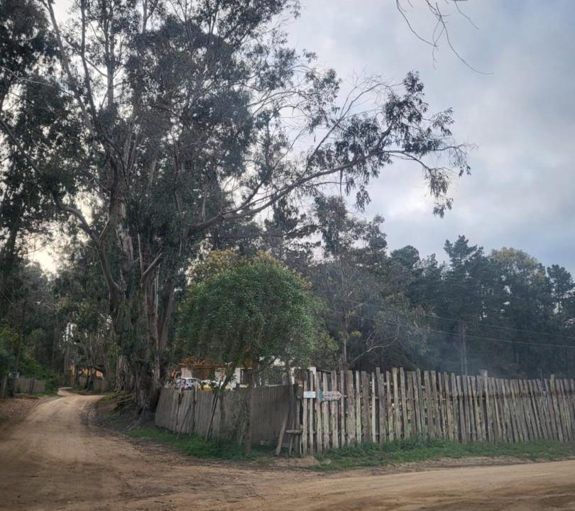 Photo of Outdoor in Isla Negra