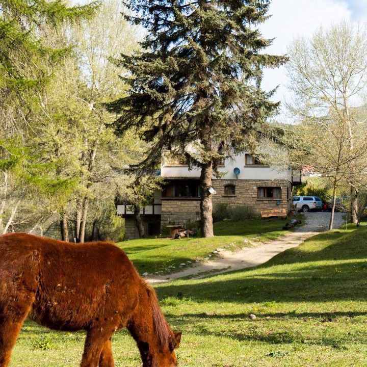 Photo of Others in San Carlos de Bariloche