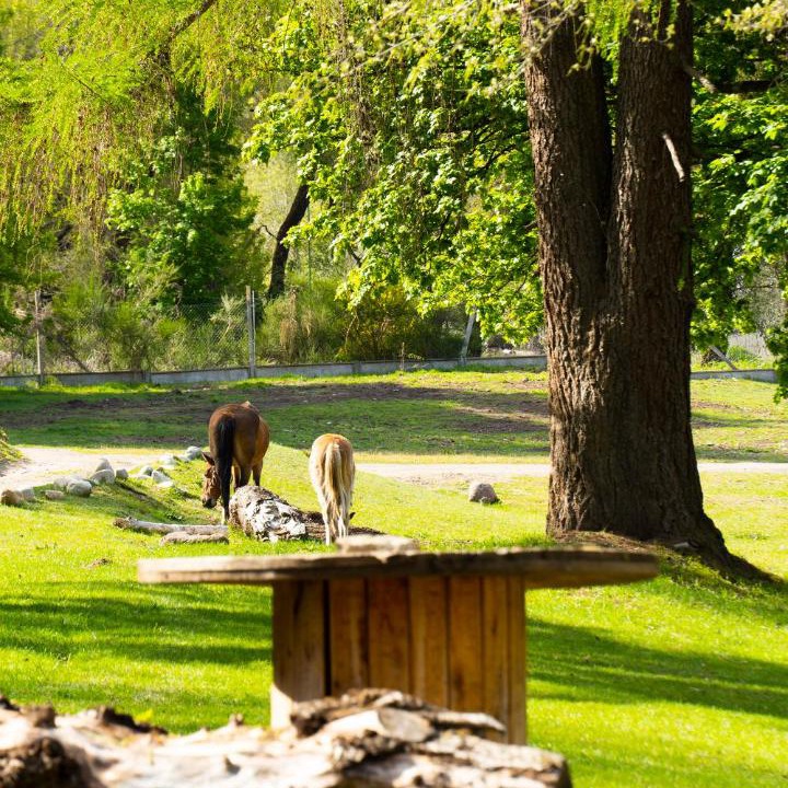 Photo of Others in San Carlos de Bariloche
