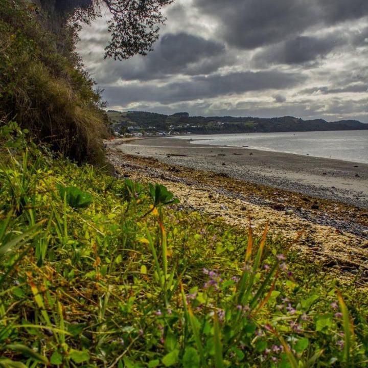 Photo of Outdoor in Quellon