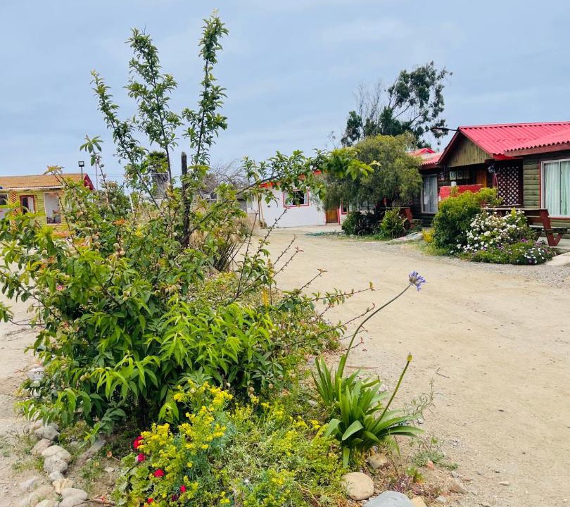 Photo of Others in Pichidangui