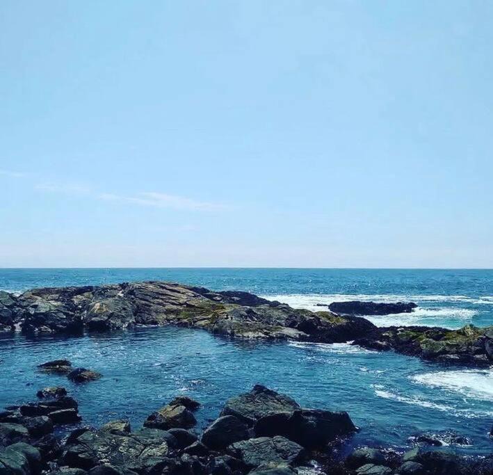 Photo of Outdoor in Zapallar
