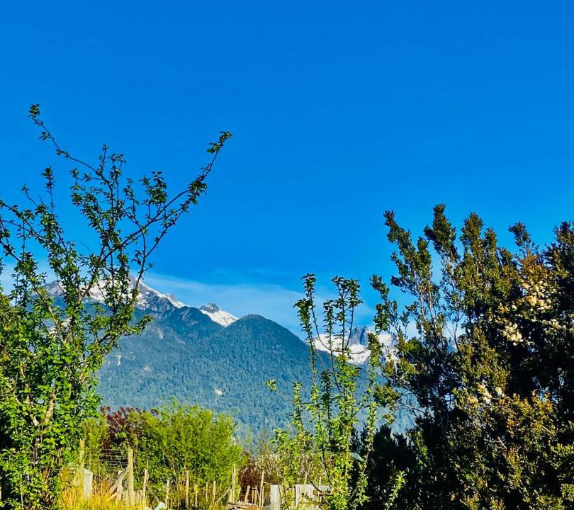 Photo of Outdoor in Hualaihue