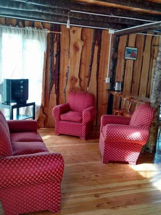 Photo of Livingroom in Puerto Fuy