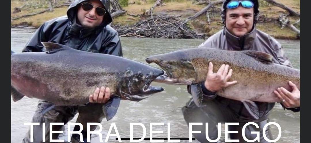 Photo of Others in Province of Tierra del Fuego