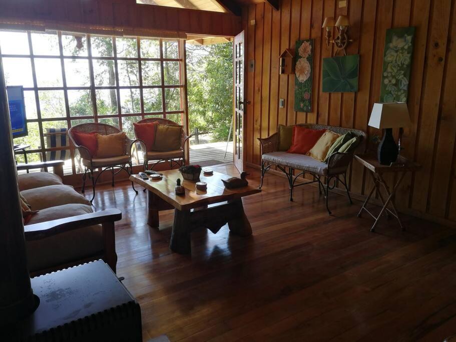 Photo of Livingroom in Pucon
