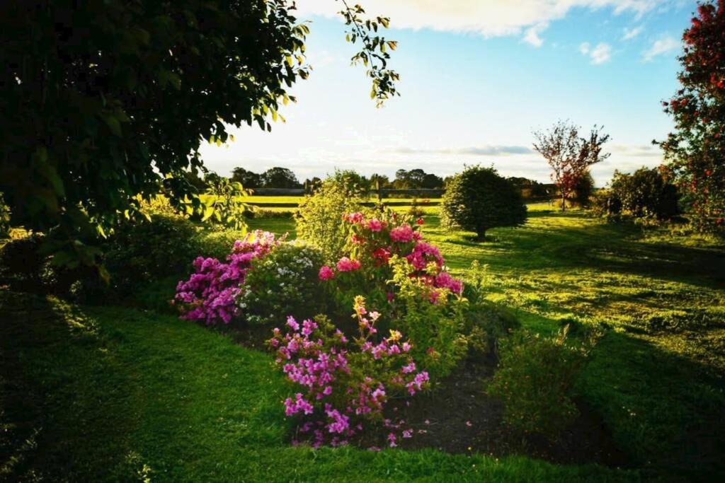 Photo of Outdoor in Puerto Varas
