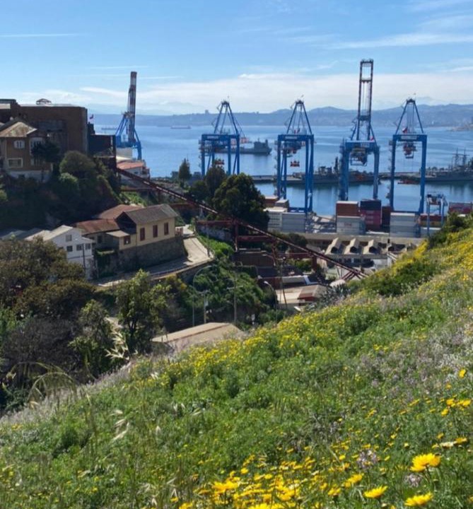 Photo of Others in Playa Ancha