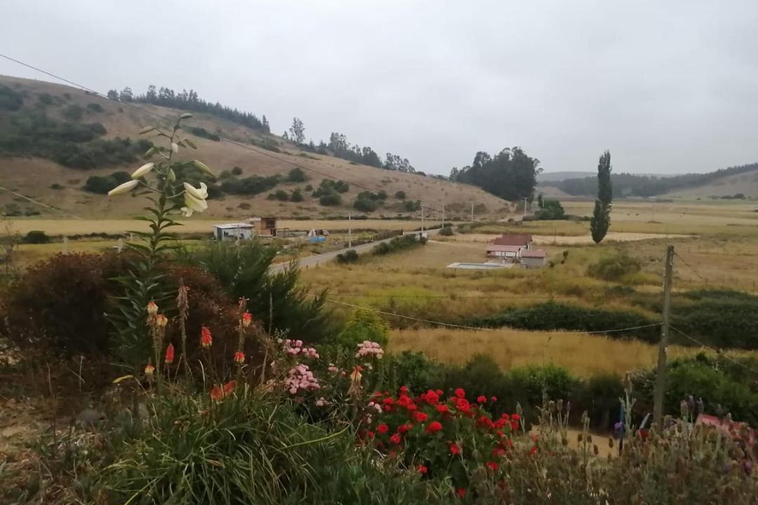 Photo of Outdoor in Navidad