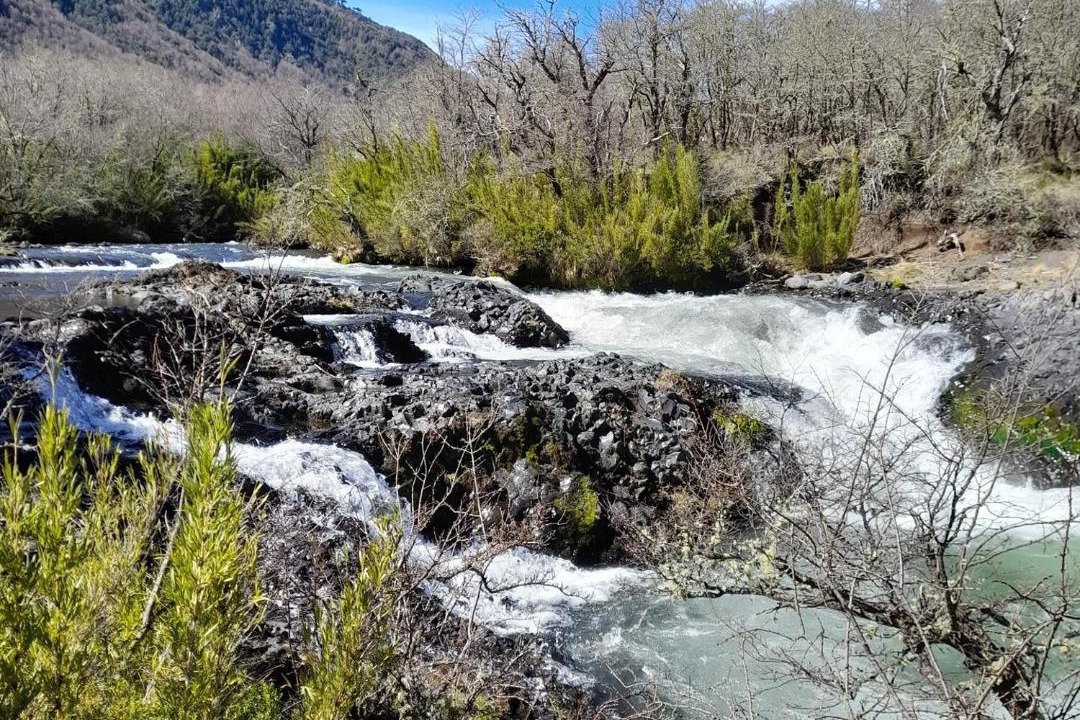 Photo of Others in Malalcahuello