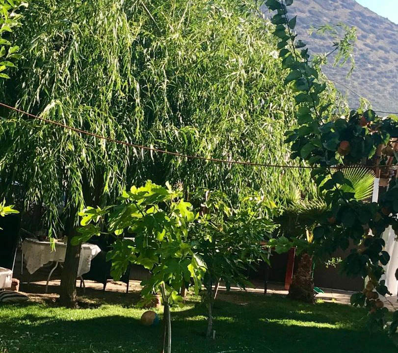 Photo of Outdoor in Melocoton