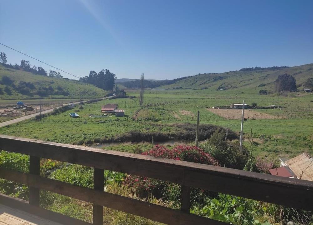 Photo of Outdoor in Navidad
