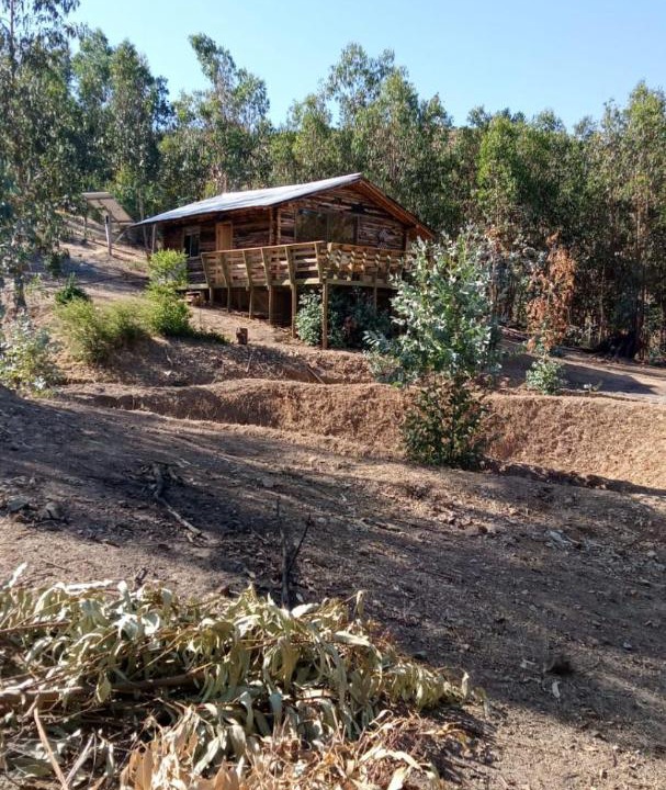 Photo of Others in Hualane