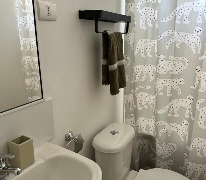 Photo of Bathroom in Villarrica