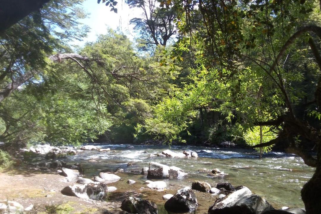 Photo of Others in Curarrehue