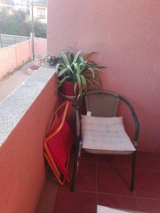 Photo of Others in Algarrobo