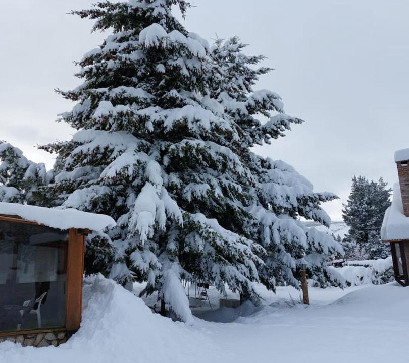 Photo of Others in Esquel