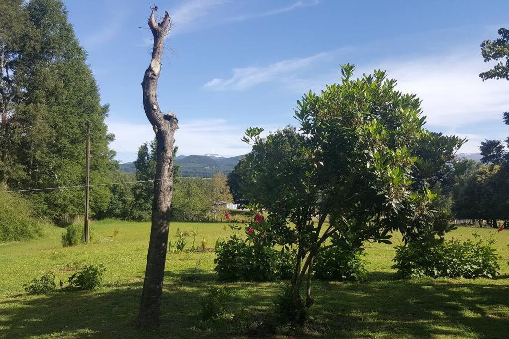 Photo of Outdoor in Pucon