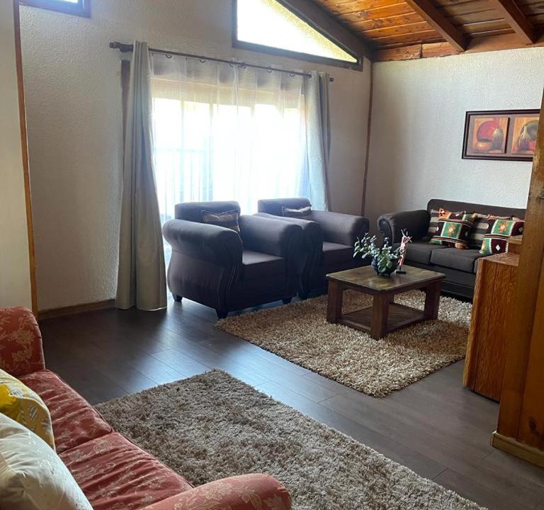 Photo of Livingroom in Panguipulli